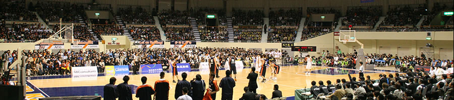 ����n��o�X�P�b�g�{�[������